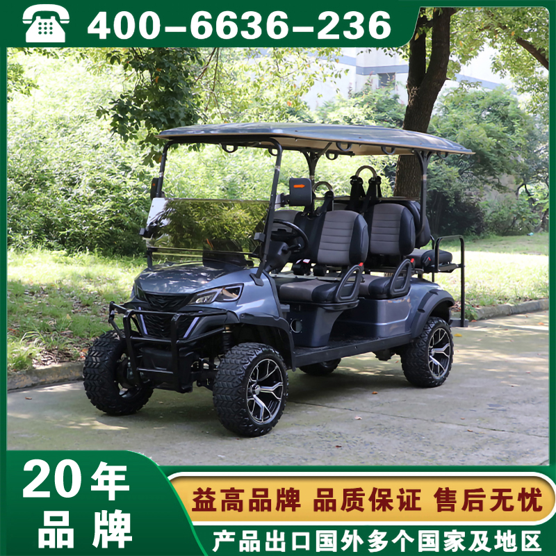 益高新款高尔夫观光车2-8座 EG204DKSZ